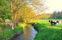 image homepage 1
