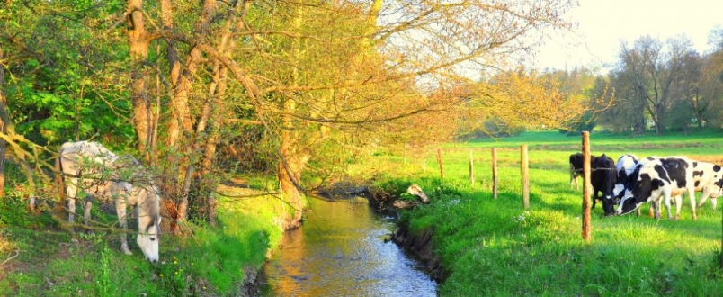 image homepage 1